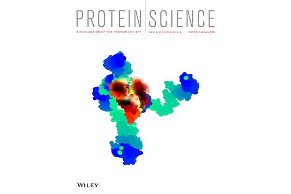 Image for ChE Research Team Featured on Protein Science Cover