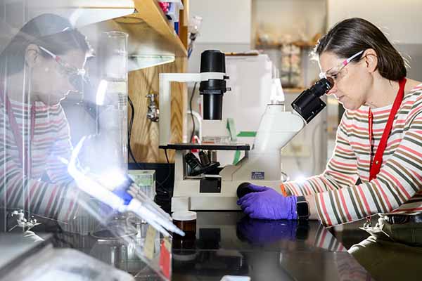 professor in lab using microscope